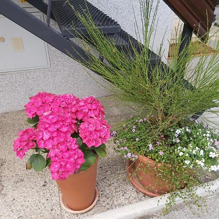 Apartma Arnez Bled Dış mekan fotoğraf