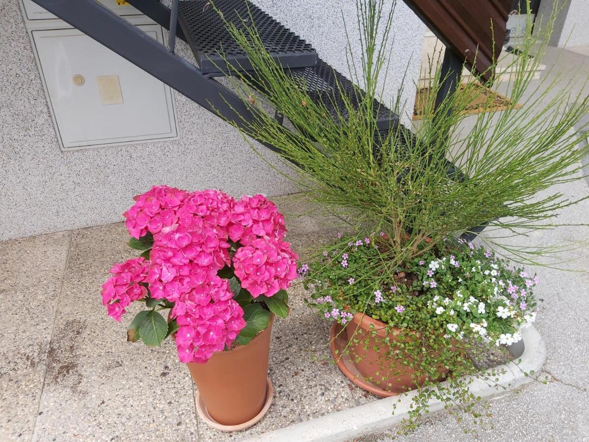 Apartma Arnez Bled Dış mekan fotoğraf