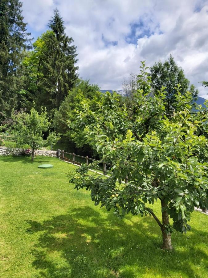 Apartma Arnez Bled Dış mekan fotoğraf